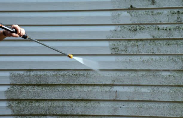 Best Residential Pressure Washing in Black Earth, WI